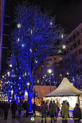 Striking blue trees and fairy lights